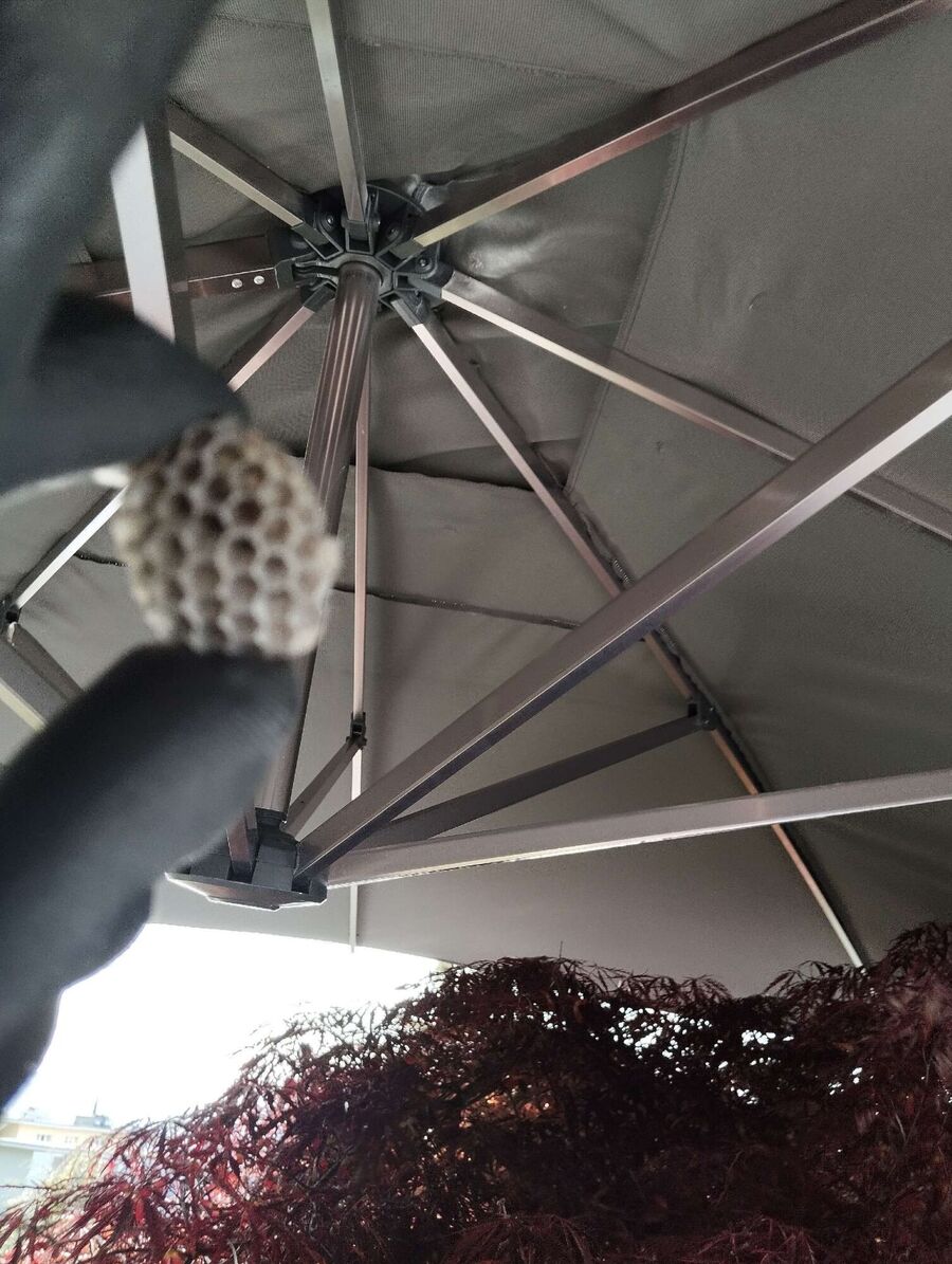 nid d abeille que faire