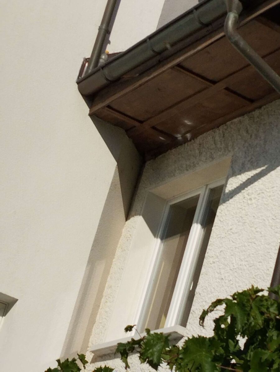 essaim d abeille enlevement