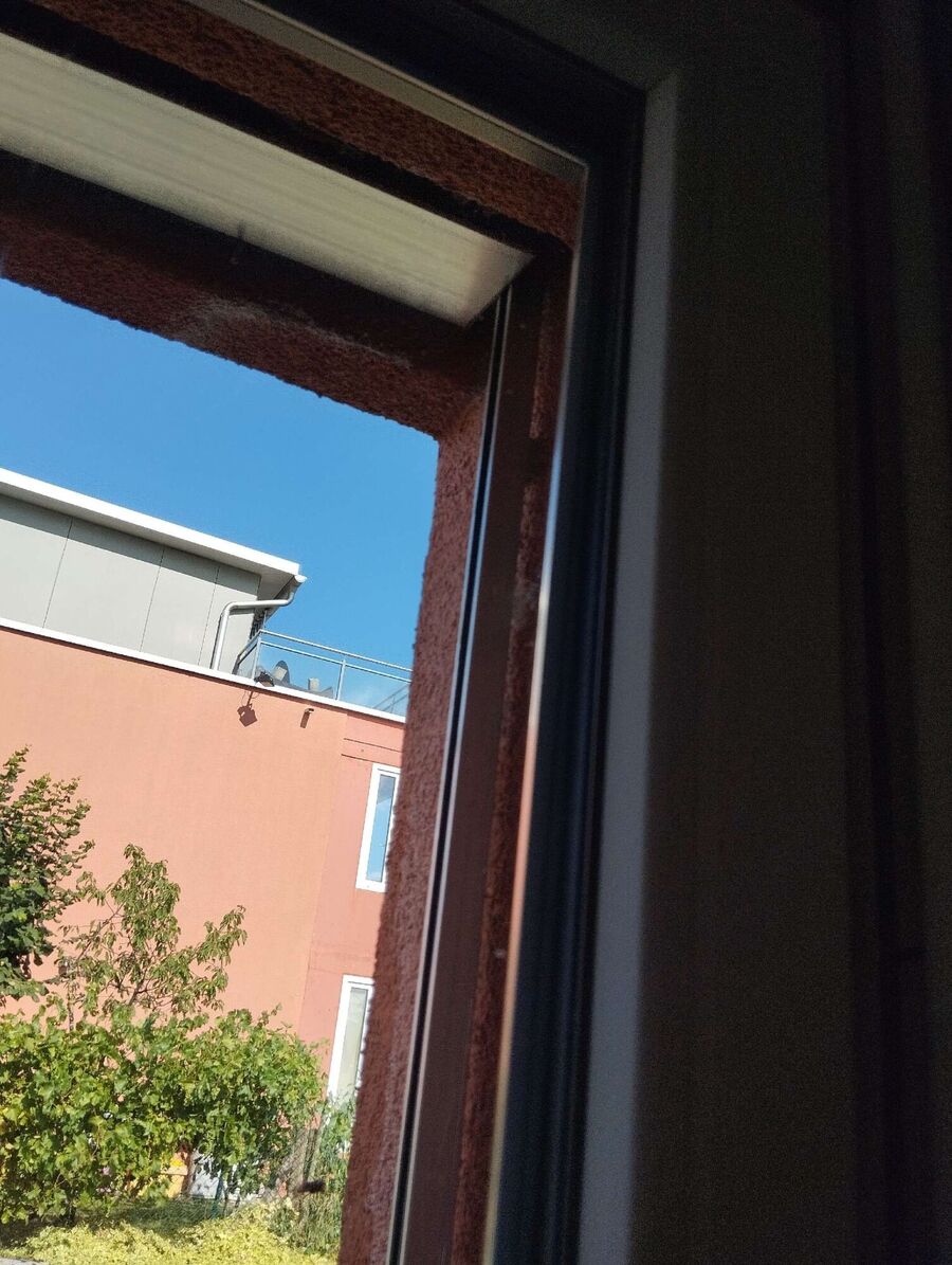 essaim d abeille enlevement