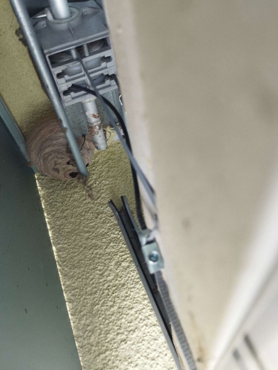 enlever un nid d abeille