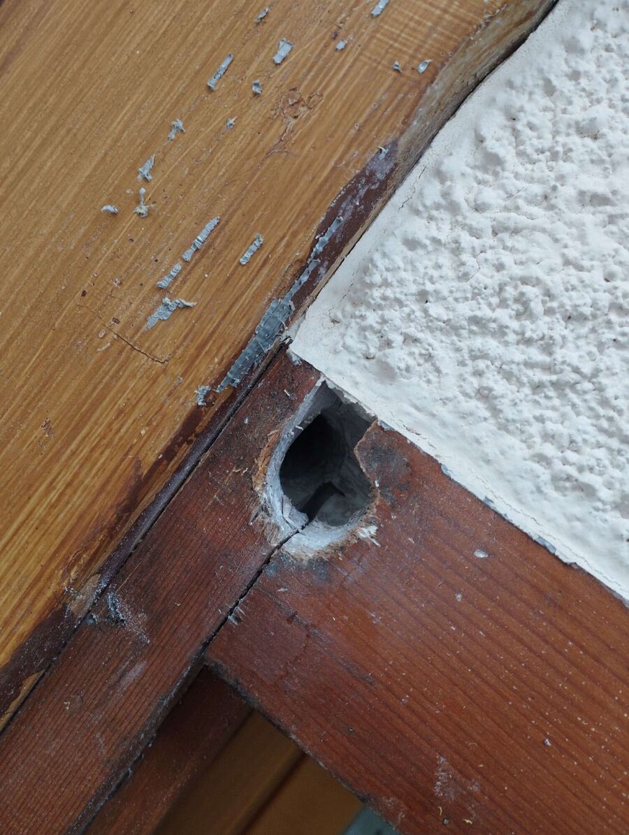 enlever un nid d abeille