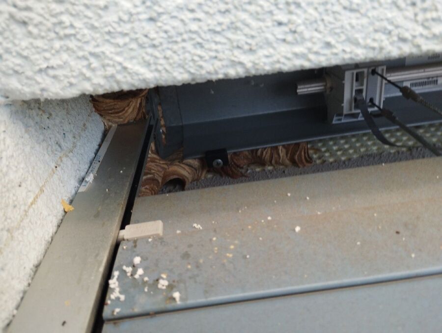 enlever un nid d abeille