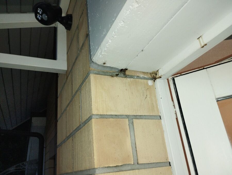 enlever un nid d abeille