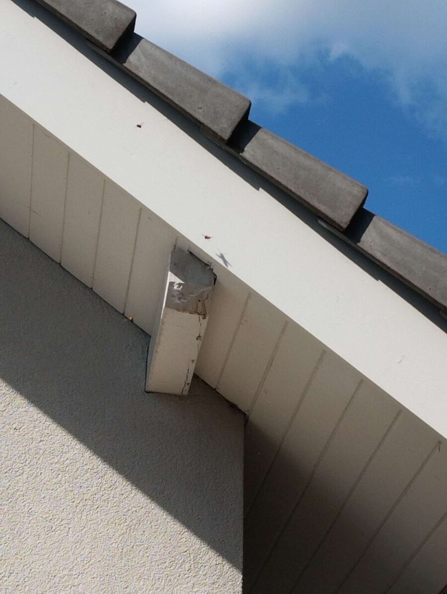 nid d abeille que faire