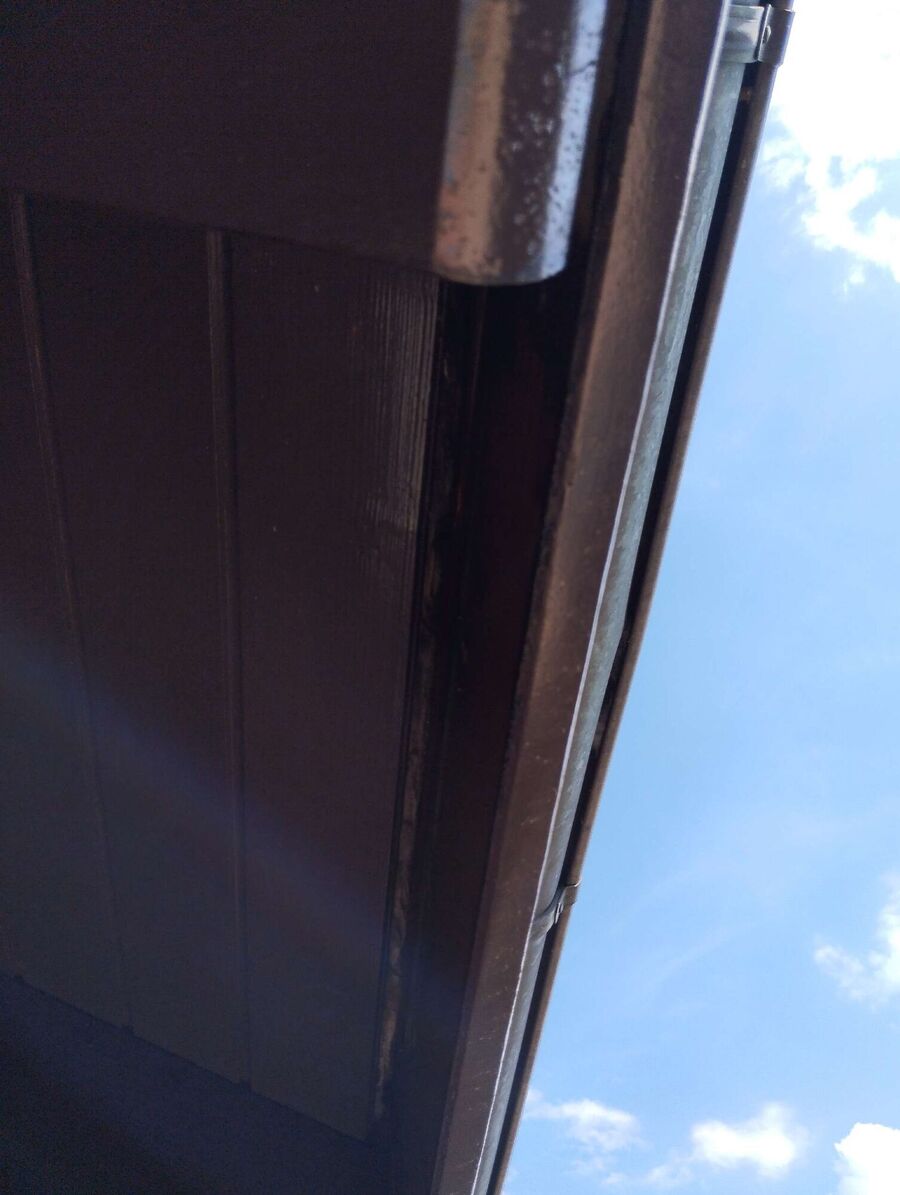 essaim d abeille enlevement