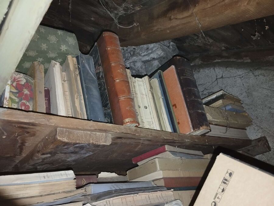 essaim d abeille enlevement