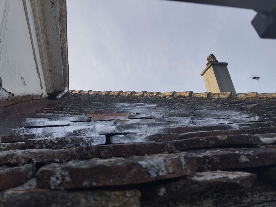 ruche abeille maison que faire