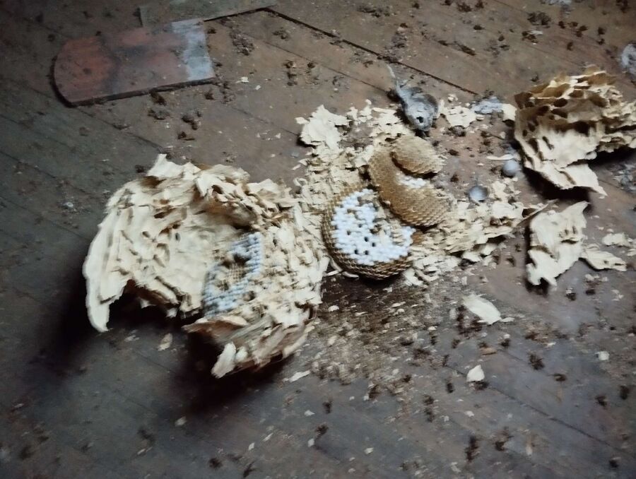 enlever un nid d abeille