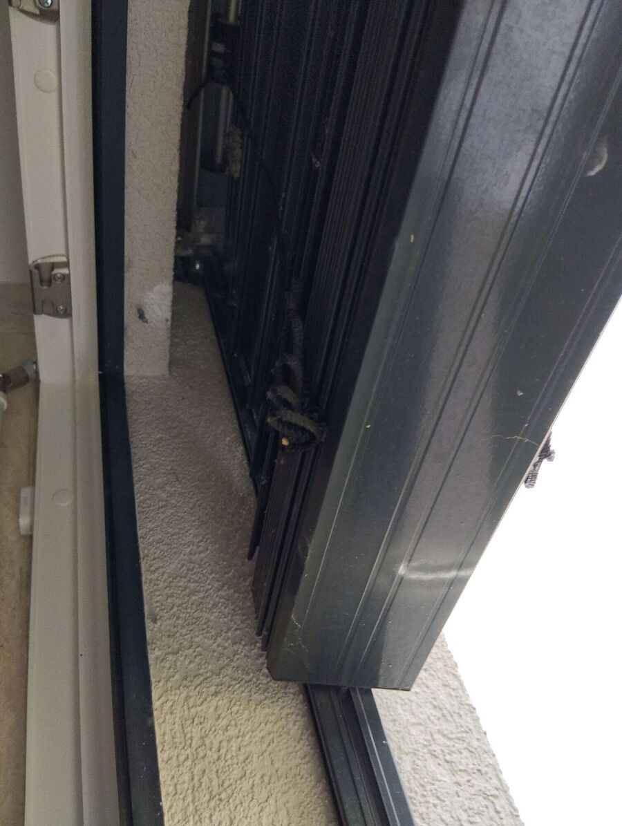 essaim d abeille enlevement