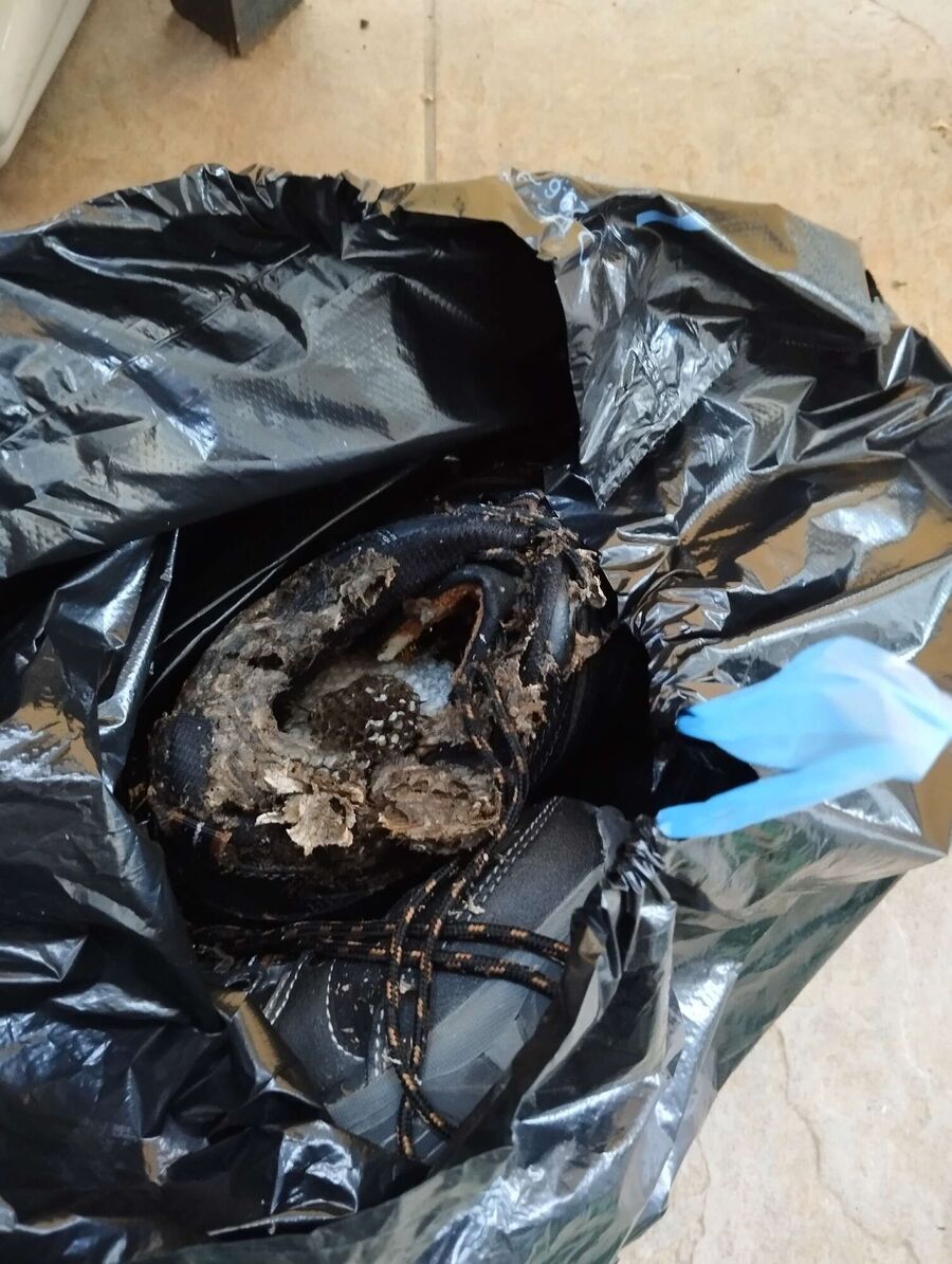 enlever un nid d abeille