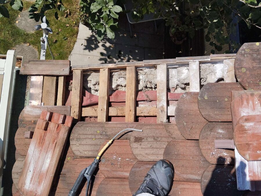 ruche abeille maison que faire