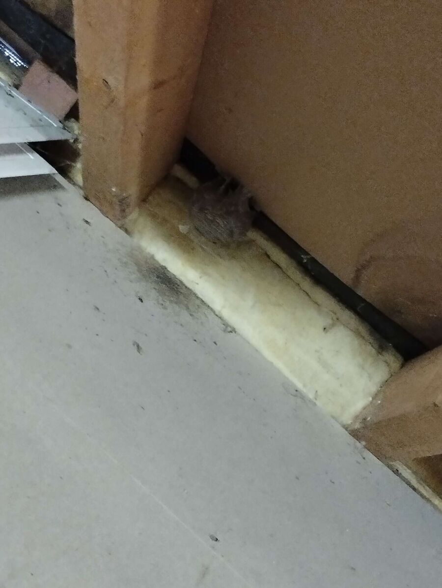 ruche abeille maison que faire