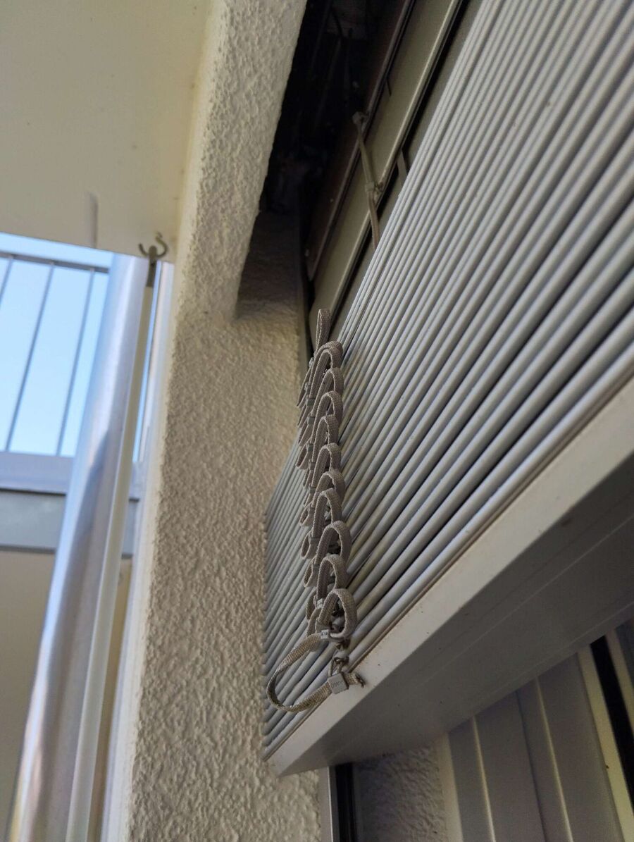 ruche abeille maison que faire