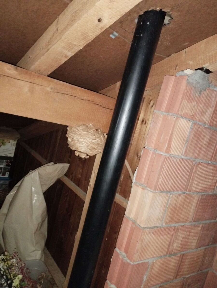 enlever un nid d abeille