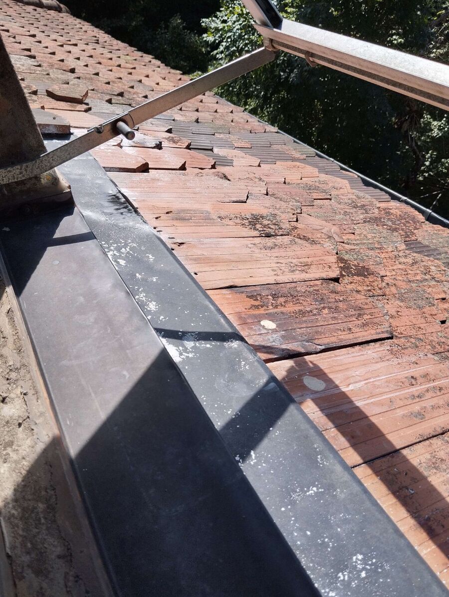 essaim d abeille enlevement