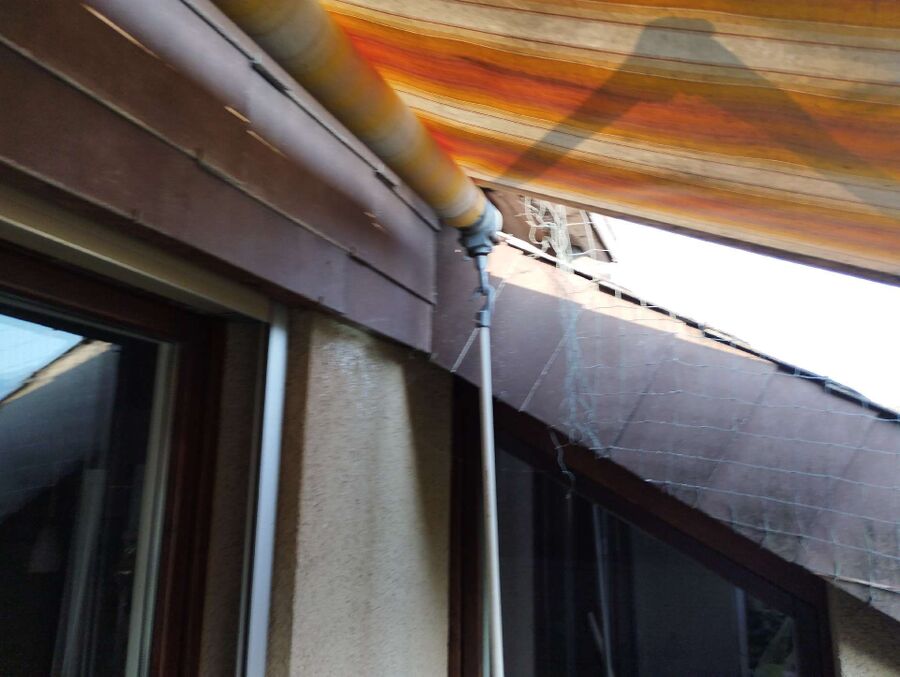 nid d abeille que faire