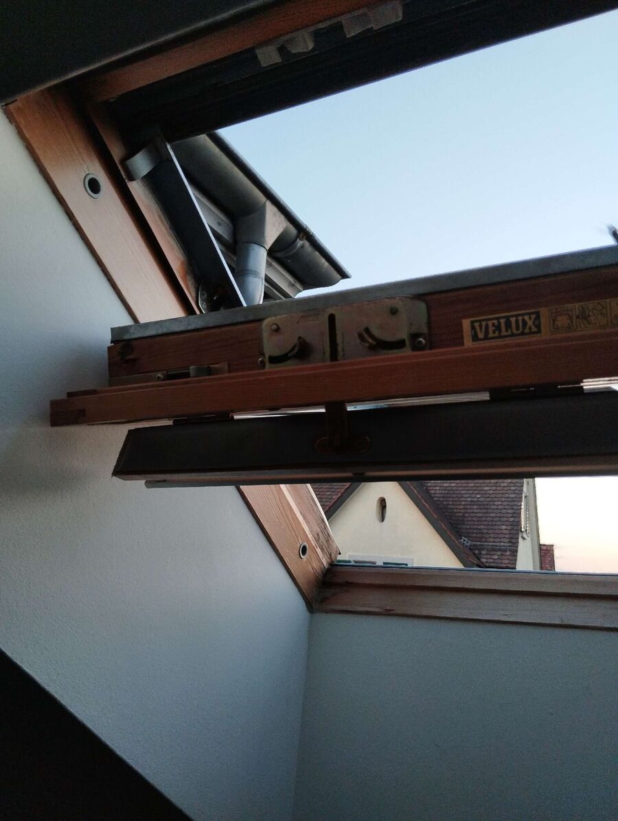 essaim d abeille enlevement