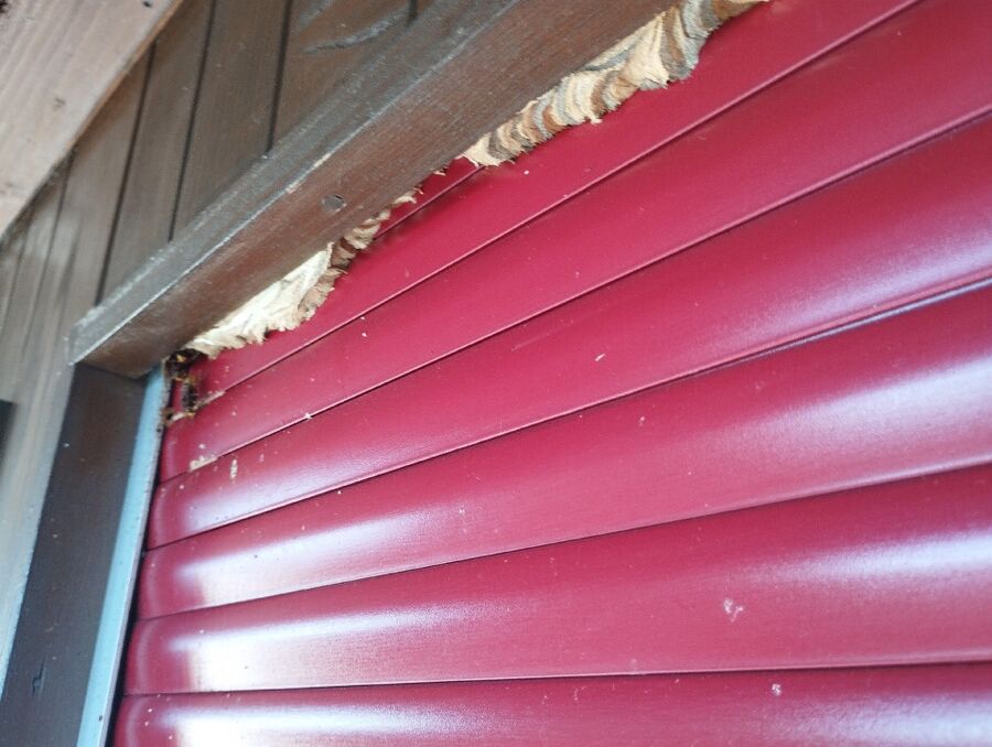 enlever un nid d abeille