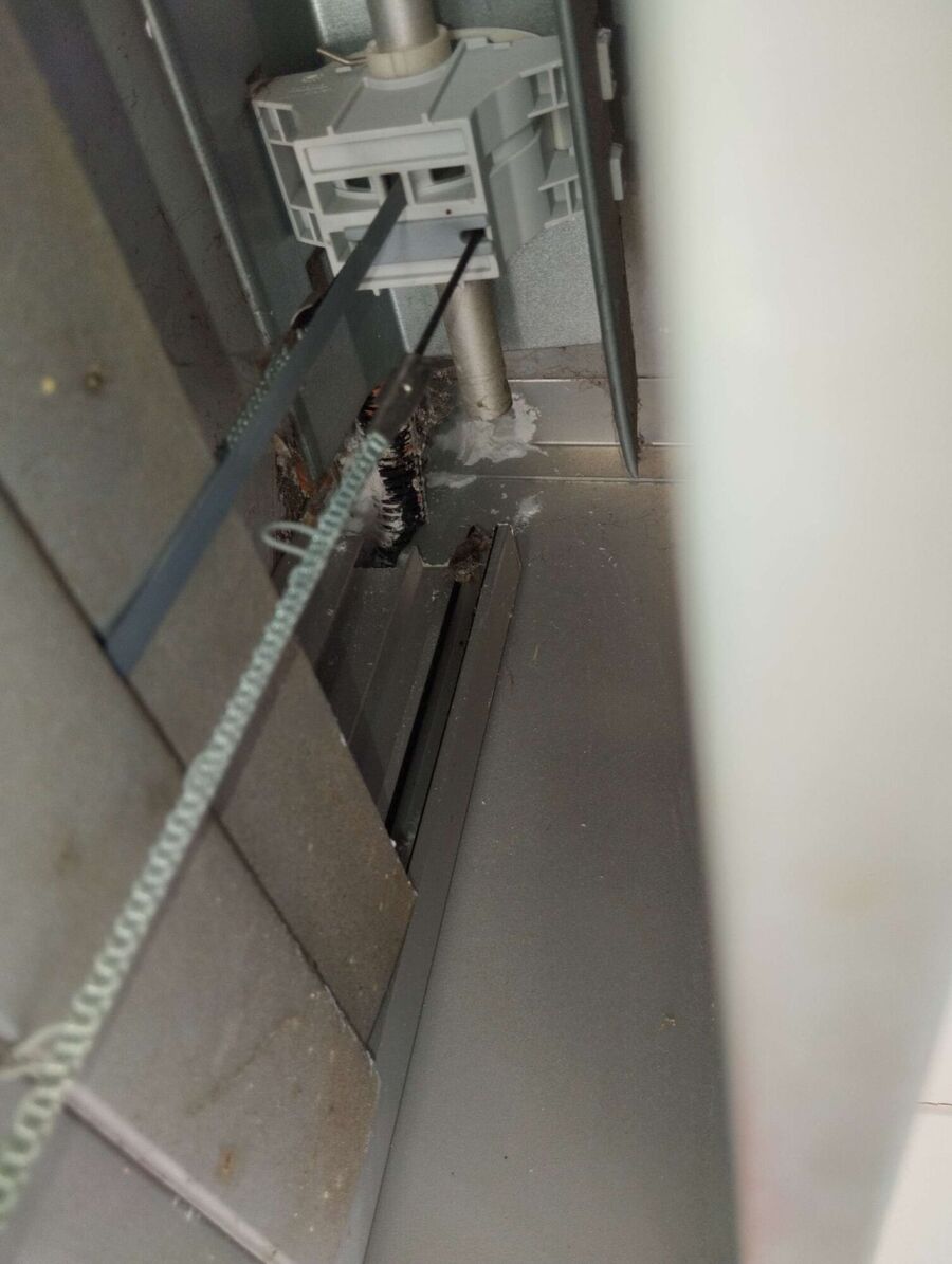 ruche abeille maison que faire