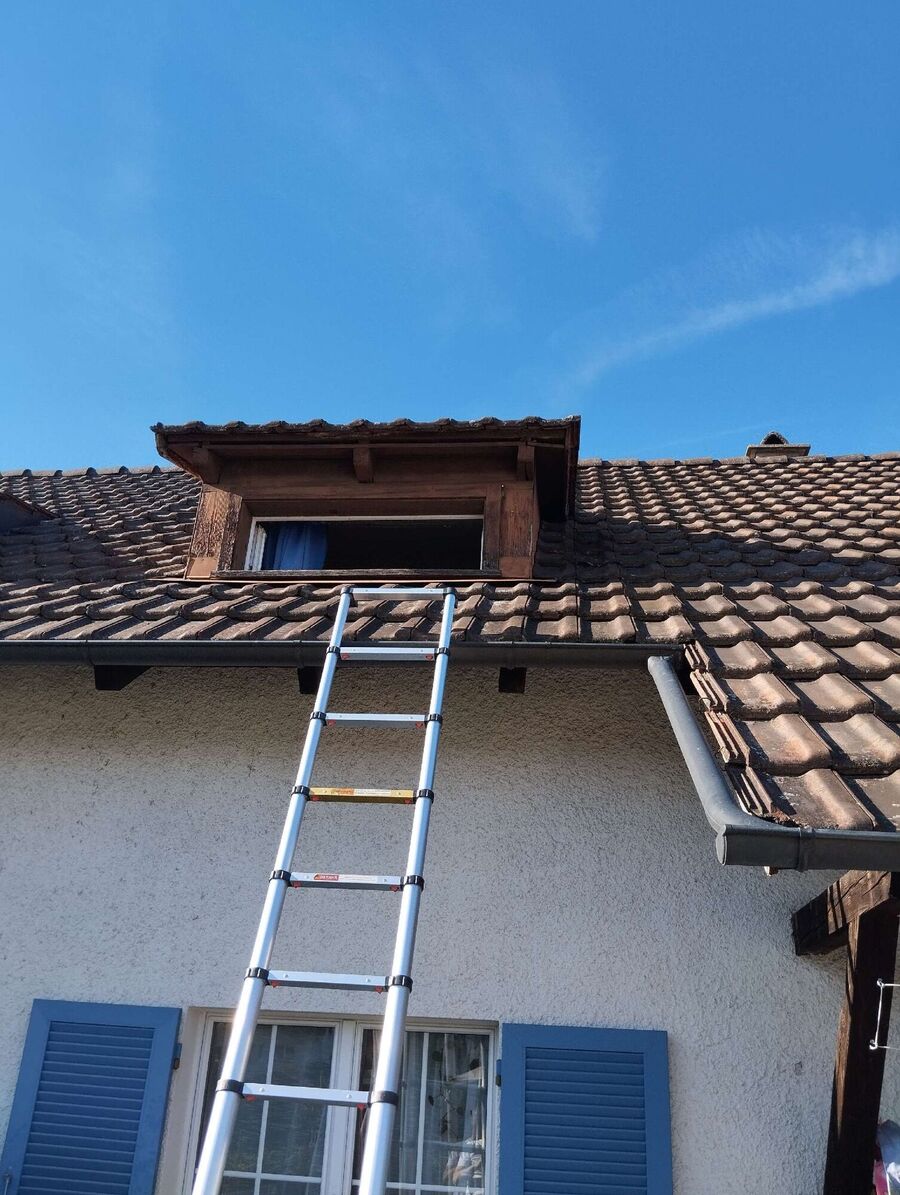 nid d abeille que faire