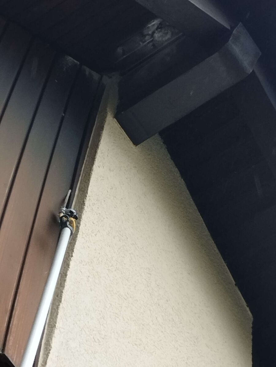 ruche abeille maison que faire