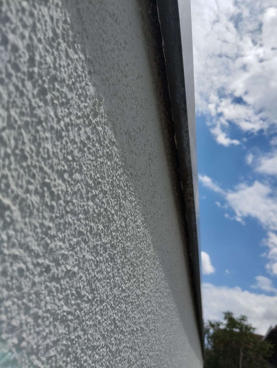 essaim d abeille enlevement