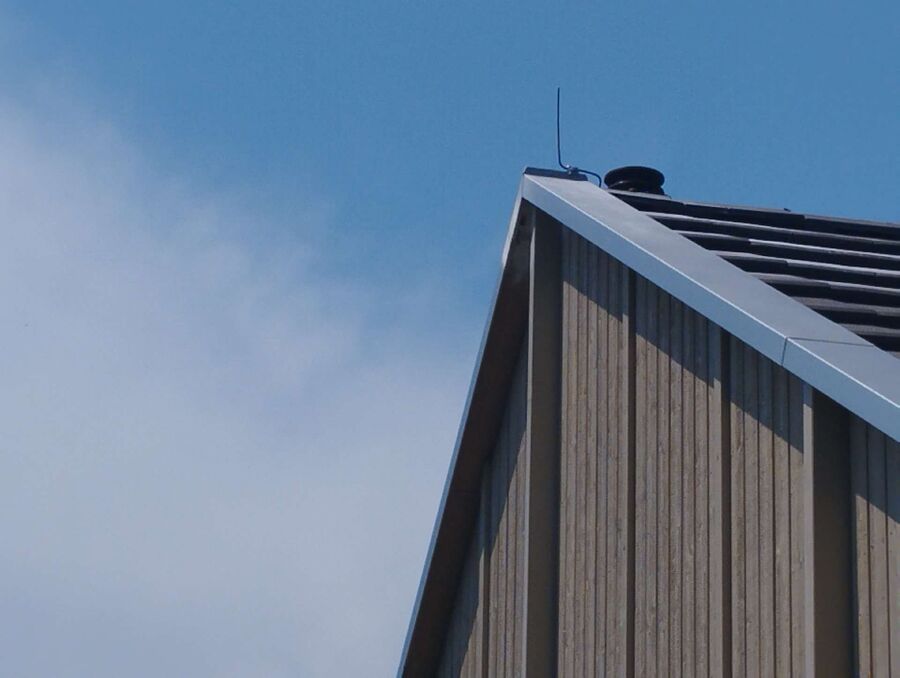 nid d abeille que faire