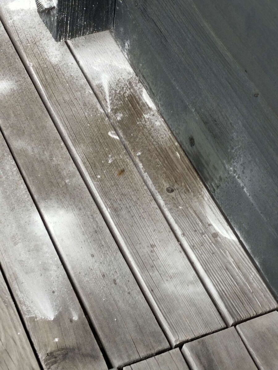 essaim d abeille enlevement