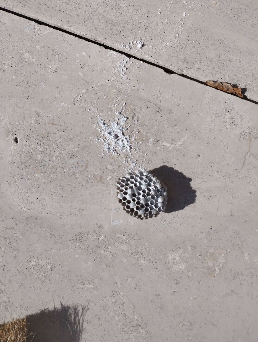 enlever un nid d abeille