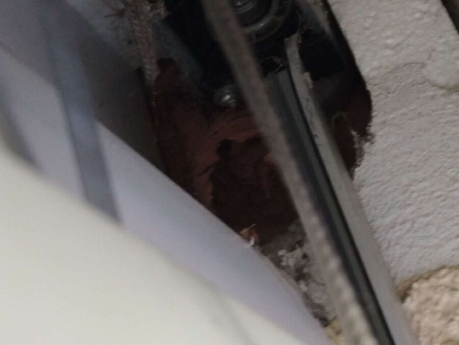 enlever un nid d abeille