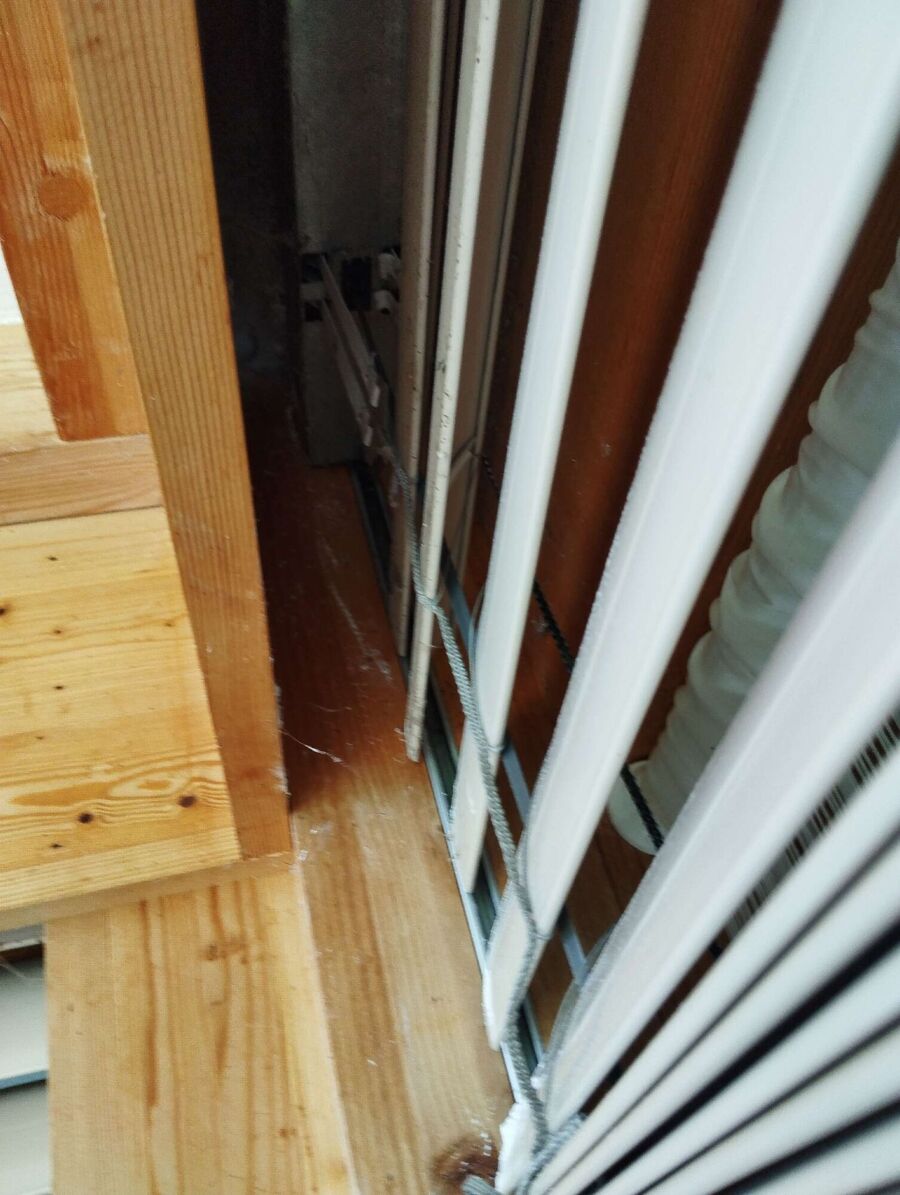 ruche abeille maison que faire