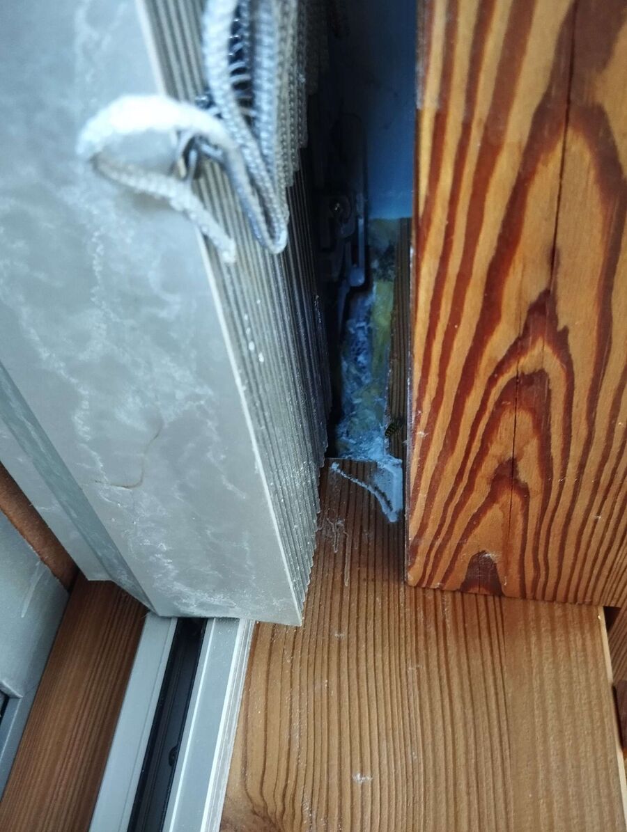 essaim d abeille enlevement