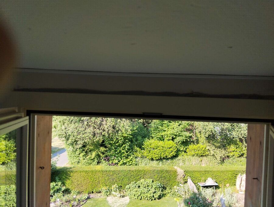 ruche abeille maison que faire