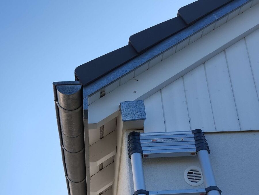 nid d abeille que faire