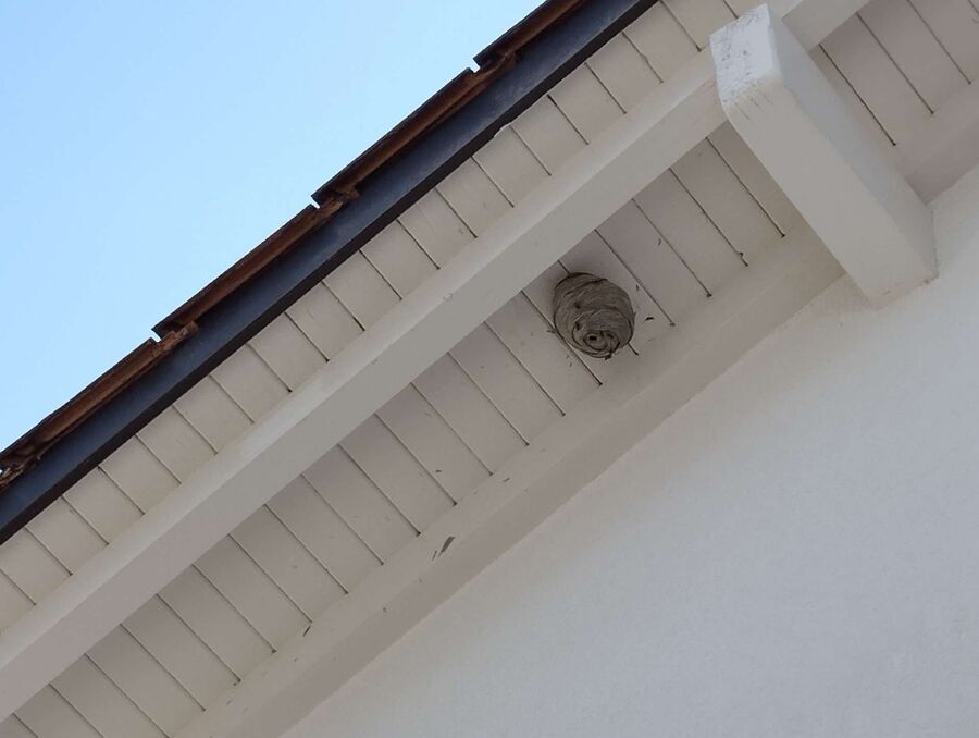 enlever un nid d abeille