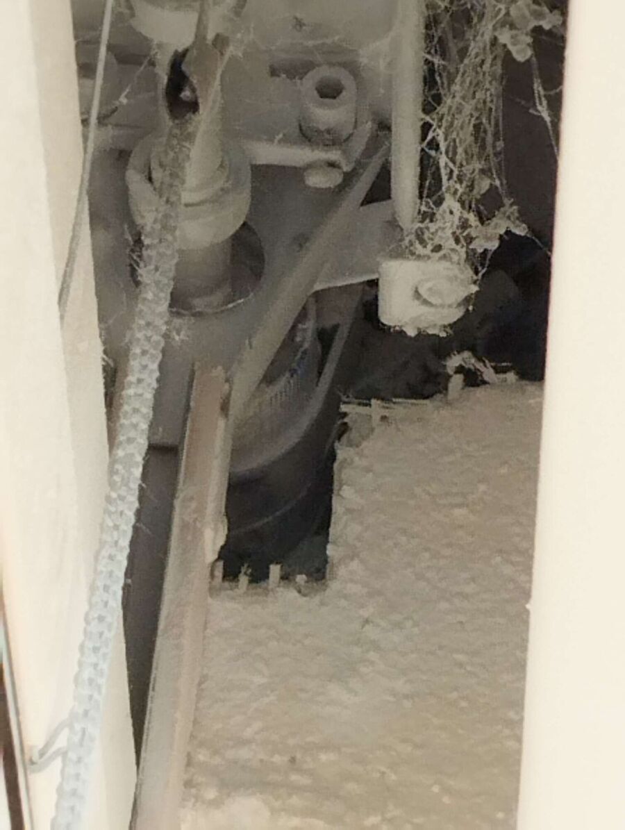 essaim d abeille enlevement