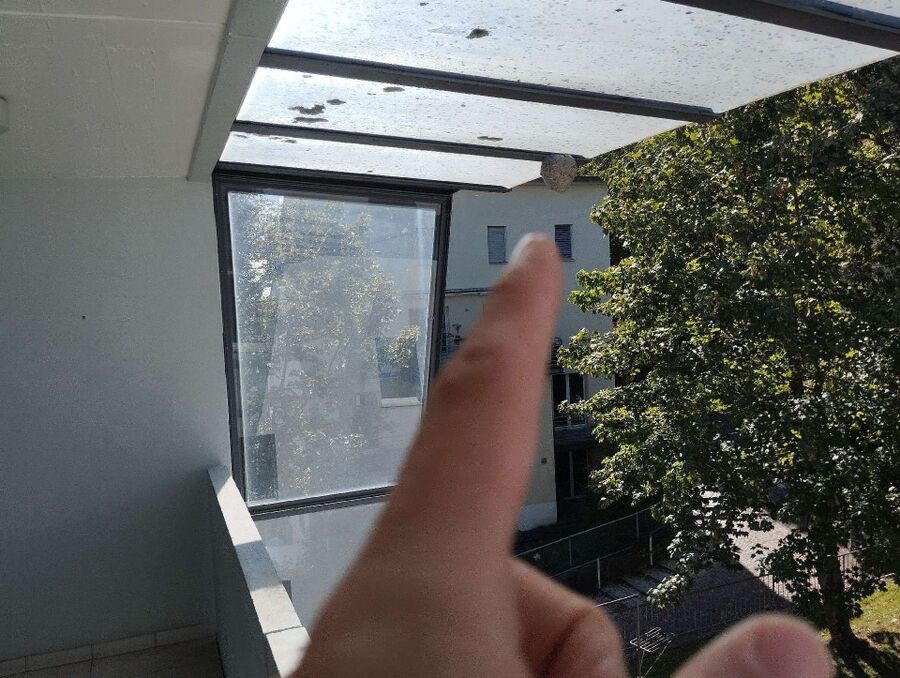 enlever un nid d abeille