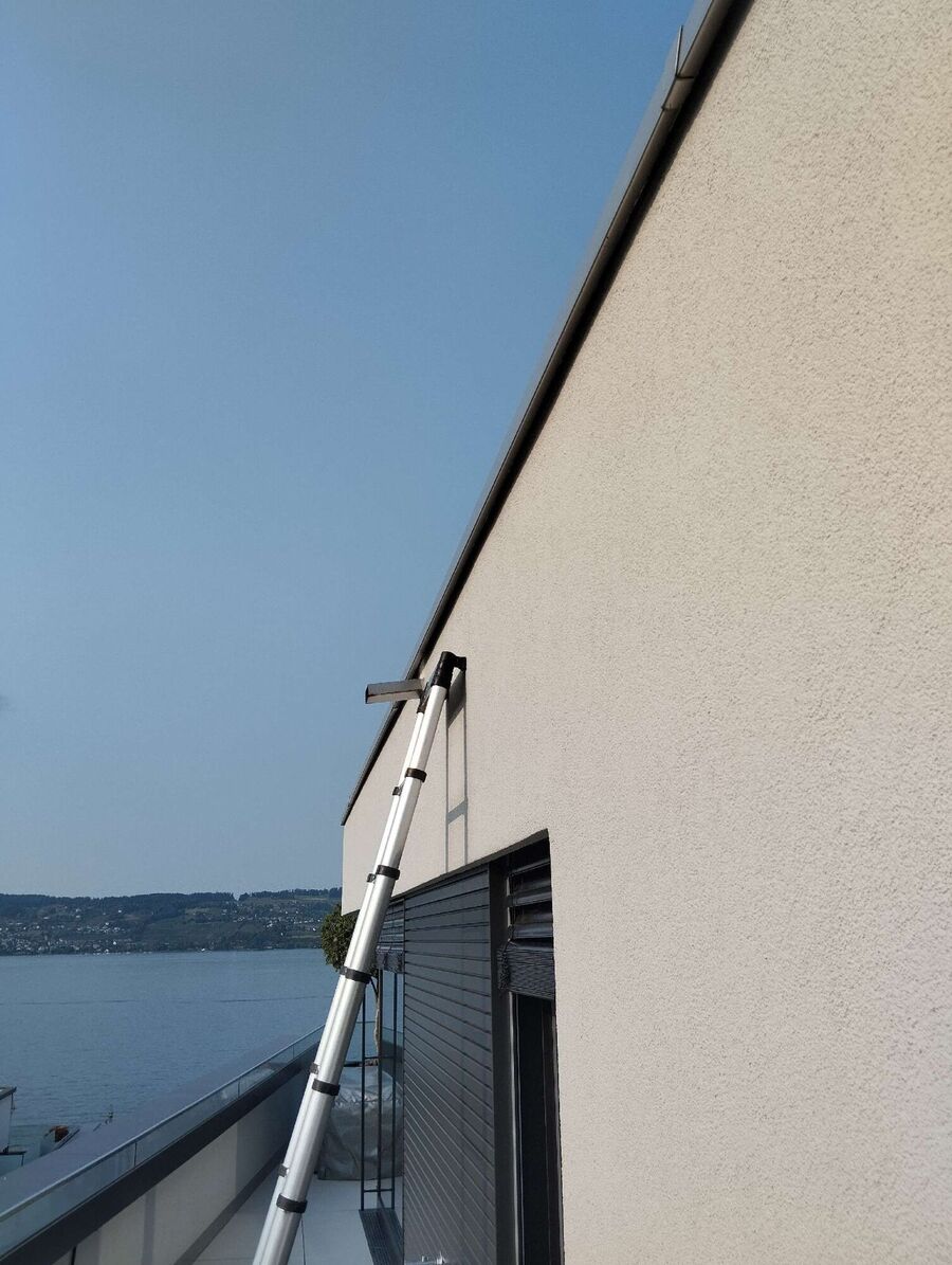 essaim d abeille enlevement