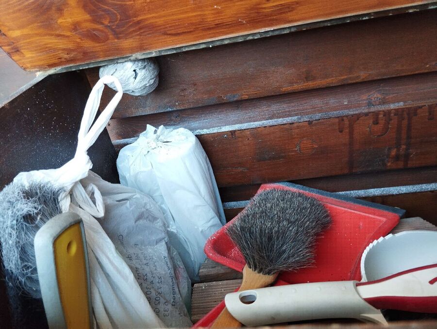 ruche abeille maison que faire