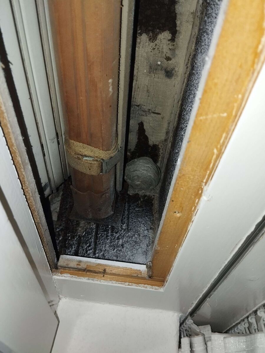 enlever un nid d abeille