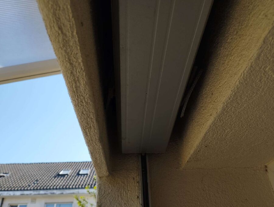 ruche abeille maison que faire