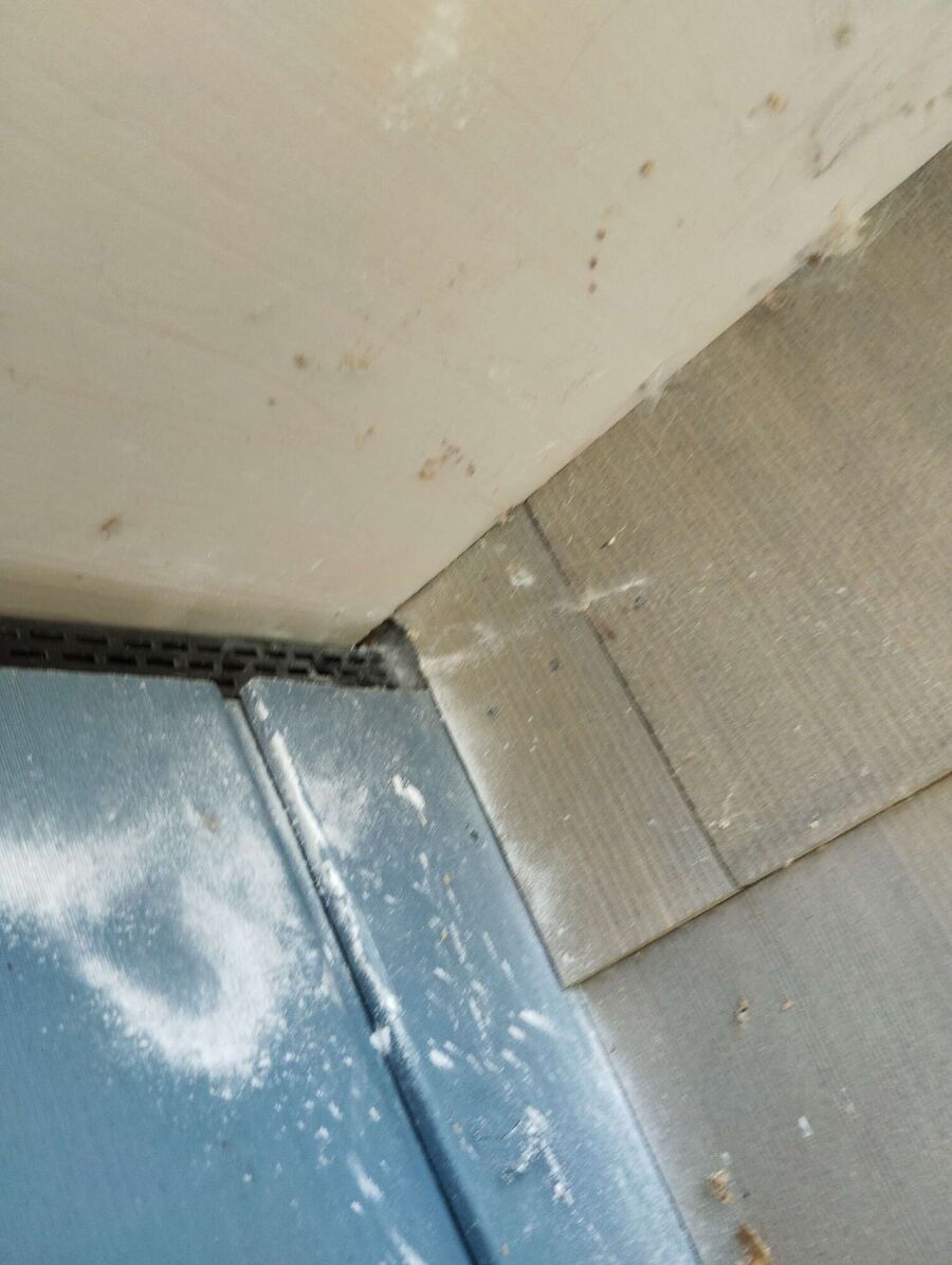 nid d abeille que faire