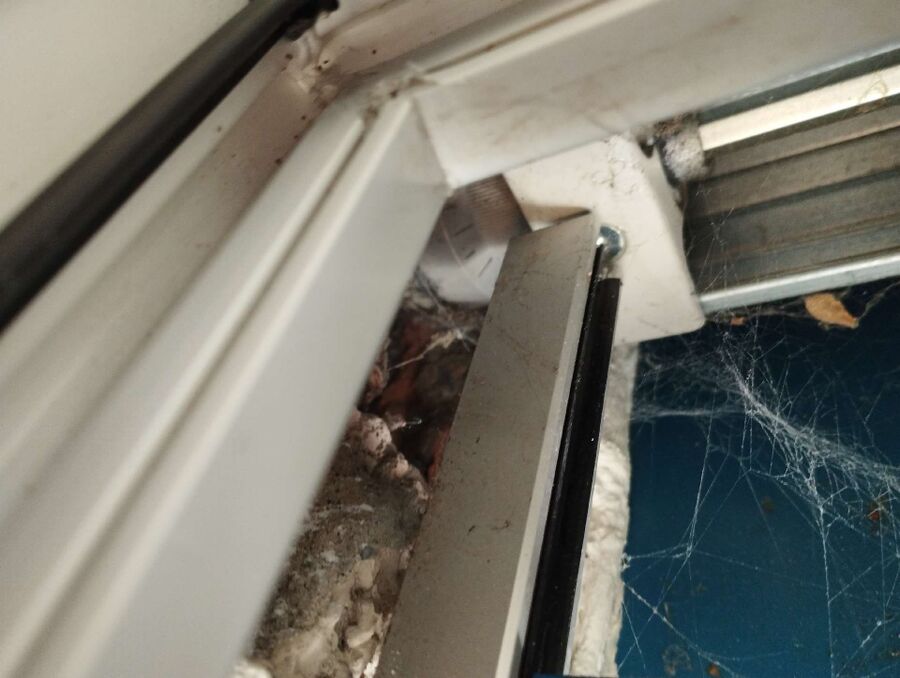 enlever un nid d abeille