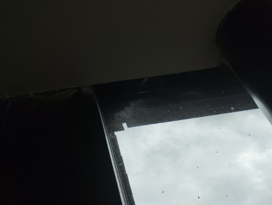 nid d abeille que faire