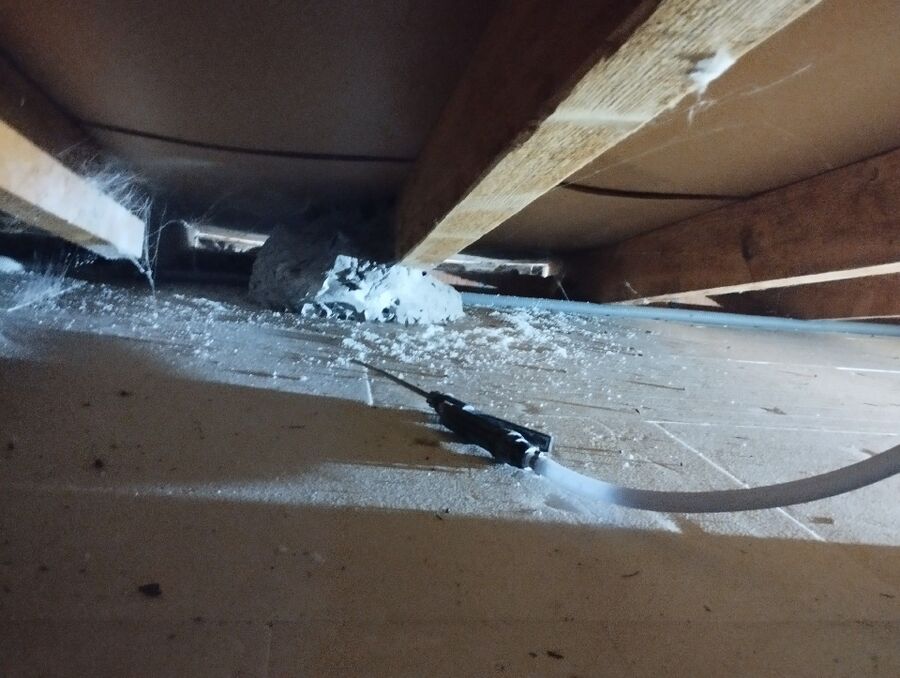 ruche abeille maison que faire