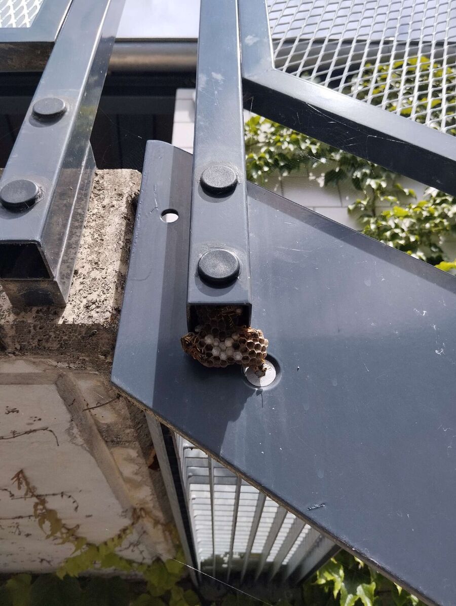 enlever un nid d abeille