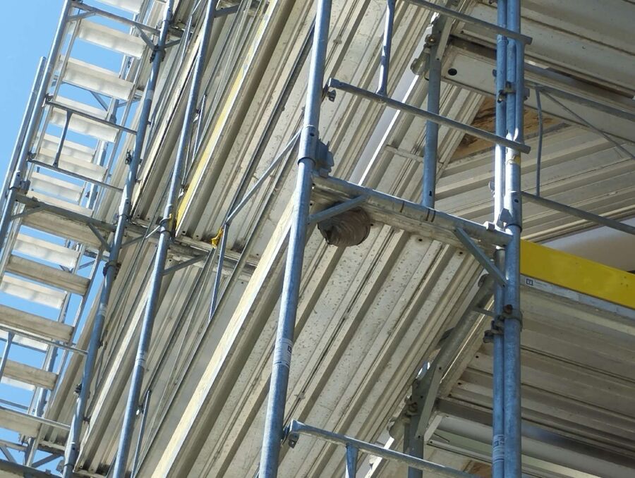 essaim d abeille enlevement