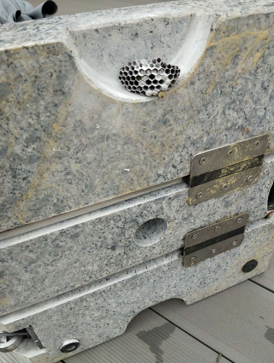 ruche abeille maison que faire