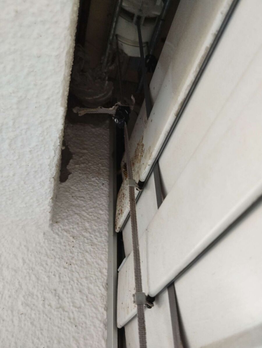 ruche abeille maison que faire