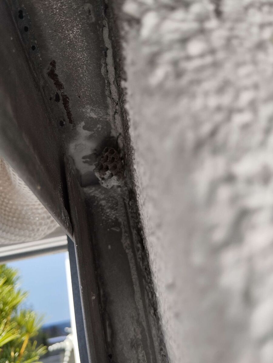 enlever un nid d abeille